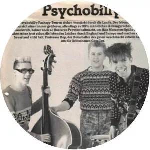 Sunny Domestozs - Musical group