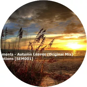 Sunset Moments - Musical artist