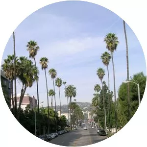 Sunset Strip - 2000 ‧ Comedy drama/Drama ‧ 1h 35m