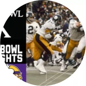 Super Bowl IX