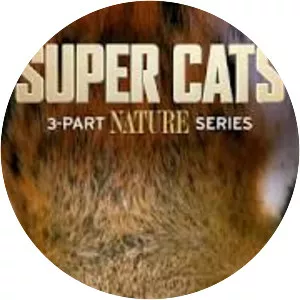 Super Cats - 
