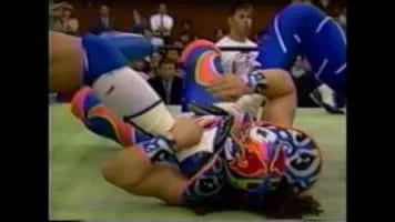 Super Delfin - Japanese politician