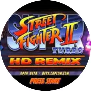 Super Street Fighter II Turbo HD Remix photograph