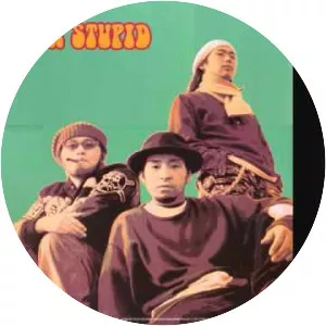 SUPER STUPID - Musical group