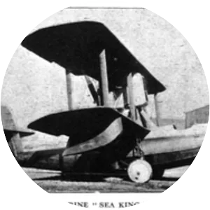 Supermarine Sea King
