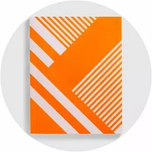 Supernew Supergraphics - Book