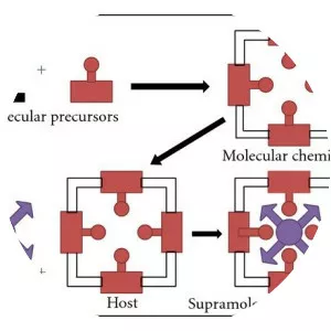 Supramolecular chemistry - 
