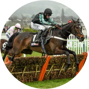 Supreme Novices' Hurdle - 