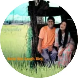 Surat Dari Langit Biru