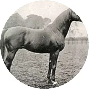 Surefoot