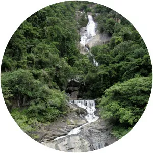 Surprise Creek Falls - 