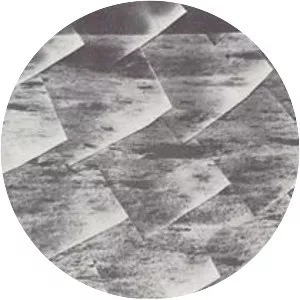 Surveyor 6 - Spacecraft