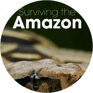 Surviving the Amazon