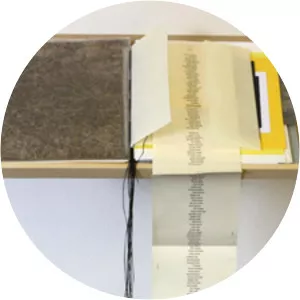 Susan Johanknecht - Visual artist