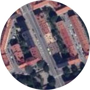 Susanne Ståhlbåge von Schreeb