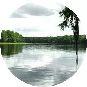 Suwannee River - 