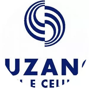 Suzano Papel e Celulose