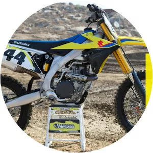 Suzuki RM - 
