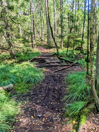 Svarte mosse Motionsslinga - Park in Gothenburg, Sweden