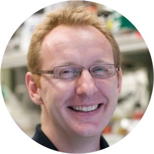 Sven Heinz - Researcher