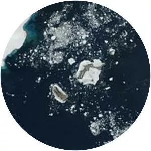 Svenskoya - Island in Svalbard and Jan Mayen