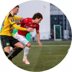 Sverrir Páll Hjaltested