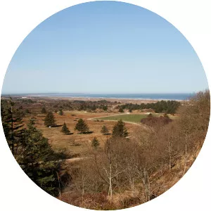 Svinkløv Klitplantage - 