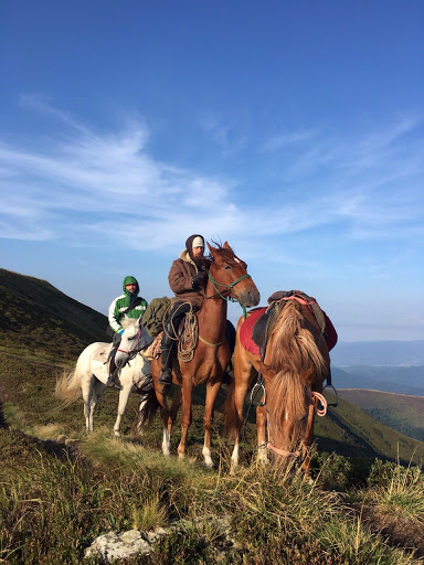 Svit Koney. Litniy Vypas - Horse riding field in Lviv, Ukraine