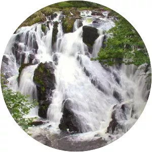 Swallow Falls