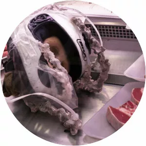 Swan Meat - Musical artist