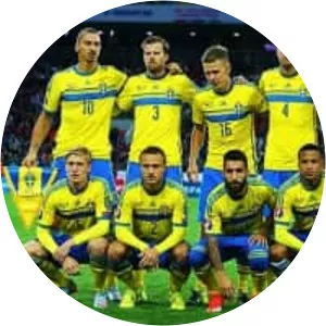 Sweden National Football Team