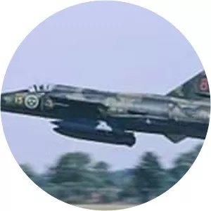 Swedish Air Force - Air force branch