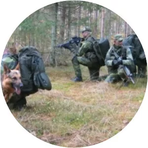 Swedish Air Force Rangers