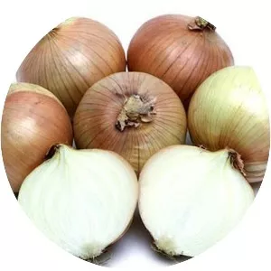 Sweet onion - 