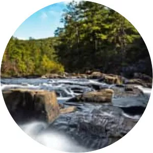 Sweetwater Creek - Stream in Georgia