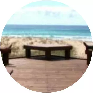 Swell Sculpture Festival