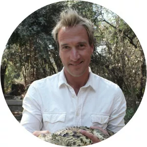 Swimming with Crocodiles