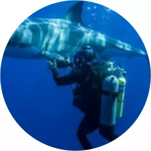 Swimming With Monsters With Steve Backshall - TV program