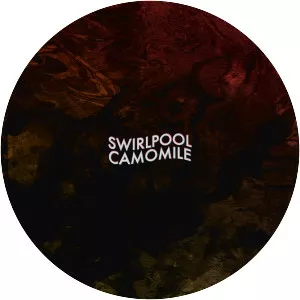 Swirlpool - Musical group