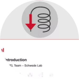 Swiss-model - Software