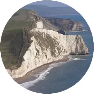 Swyre Head, Lulworth - 