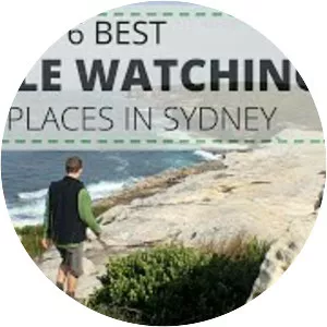 Sydney Coast Walks - 