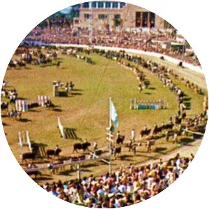 Sydney Showground Speedway