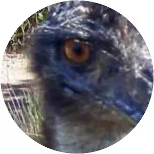 Symbio Wildlife Park - 