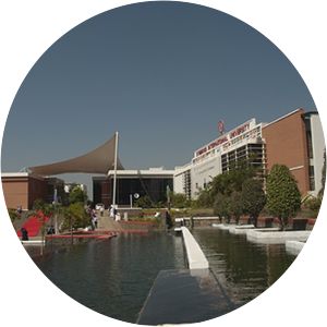 Symbiosis International University