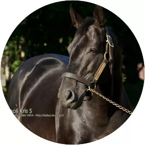 Symboli Kris S - Horse