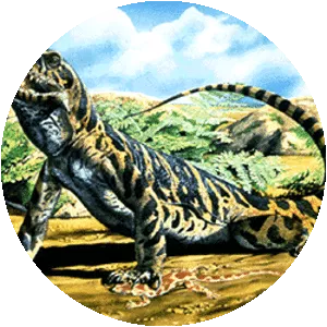 Synapsid
