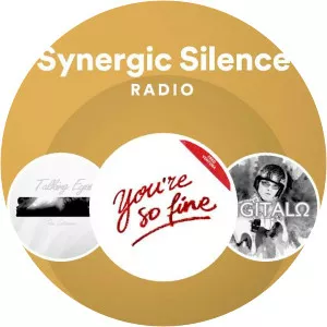 Synergic Silence - Musical artist