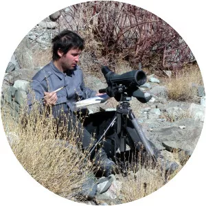 Szabolcs Kókay - Illustrator