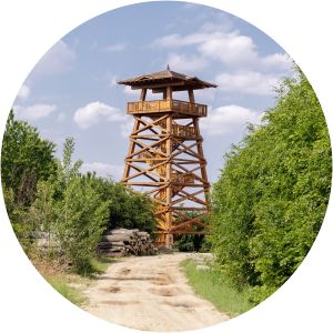 Széchenyi Zsigmond Lookout Tés